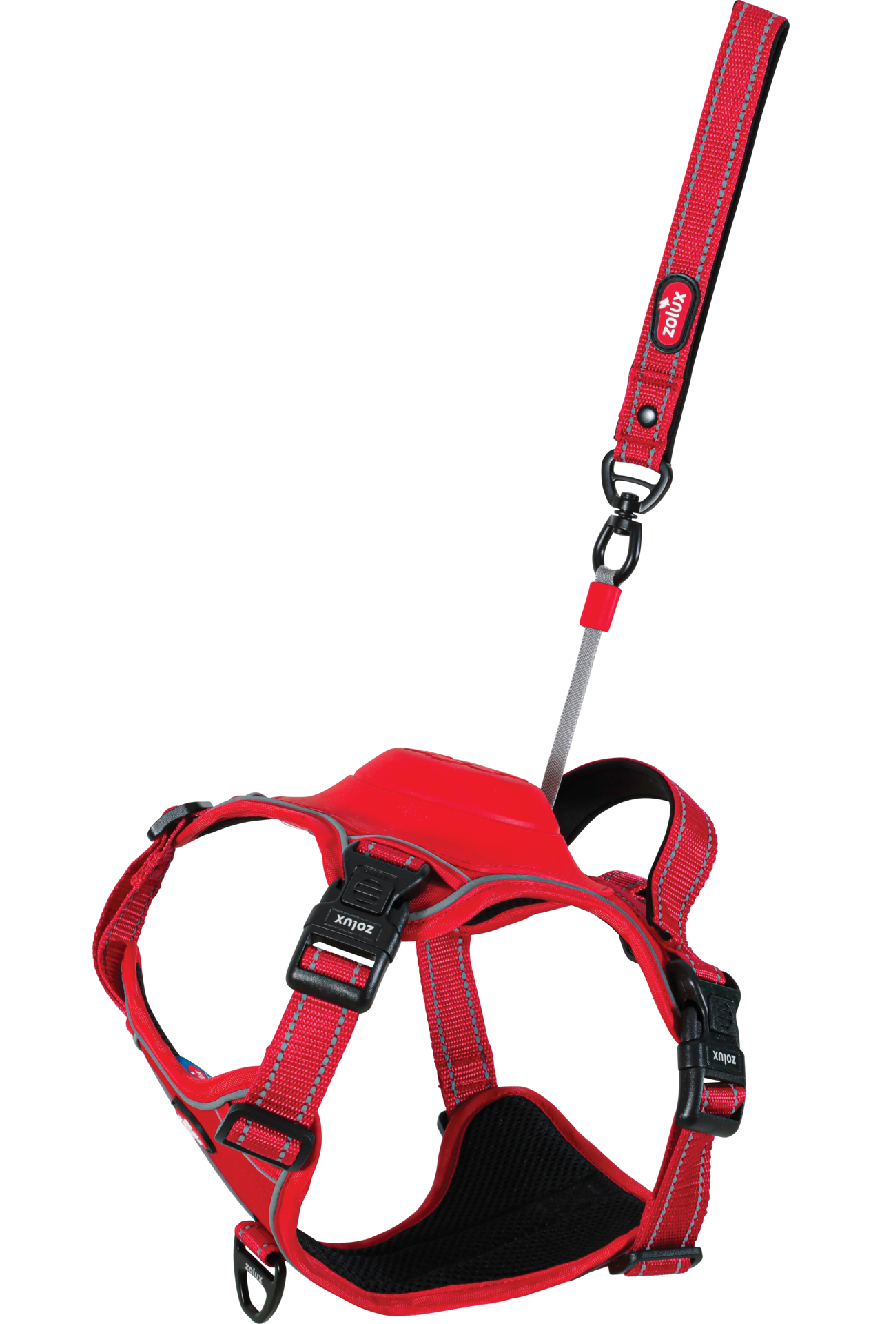 Harnais avec laisse retractable pour chien Easy Ride Large