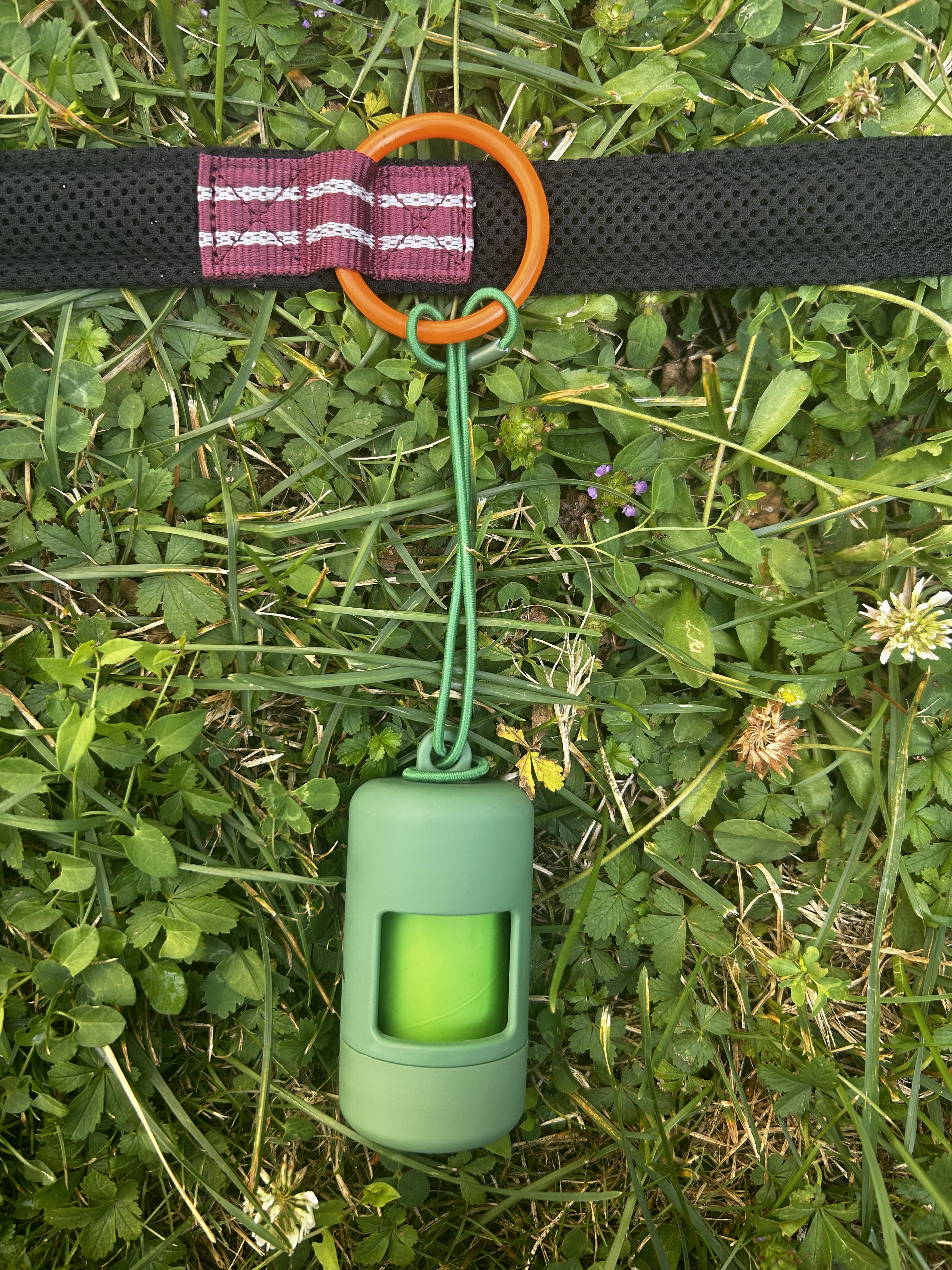 Distributeur de sacs à déjections chien – Zolux X YouCare