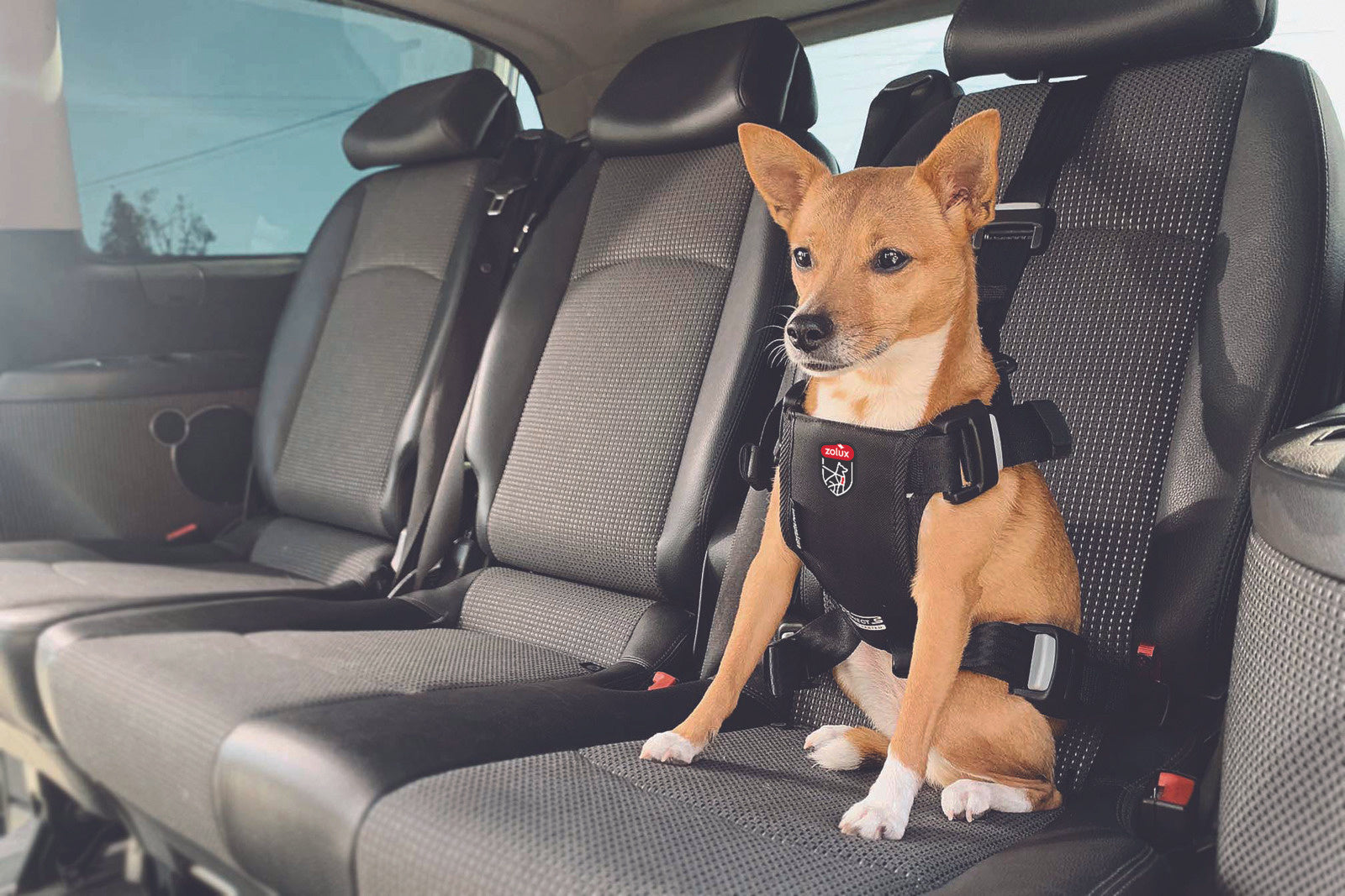 HARNAIS DE SÉCURITÉ AUTO TRAVEL SAFE - TAILLE S