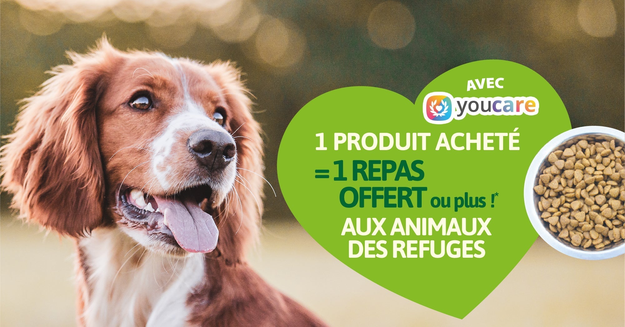 Accessoires d’hygiène pour chien éco-responsables et solidaires