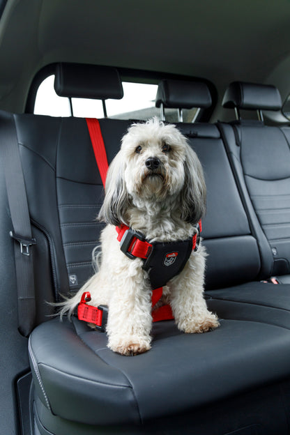 HARNAIS DE SÉCURITÉ AUTO TRAVEL SAFE - TAILLE M
