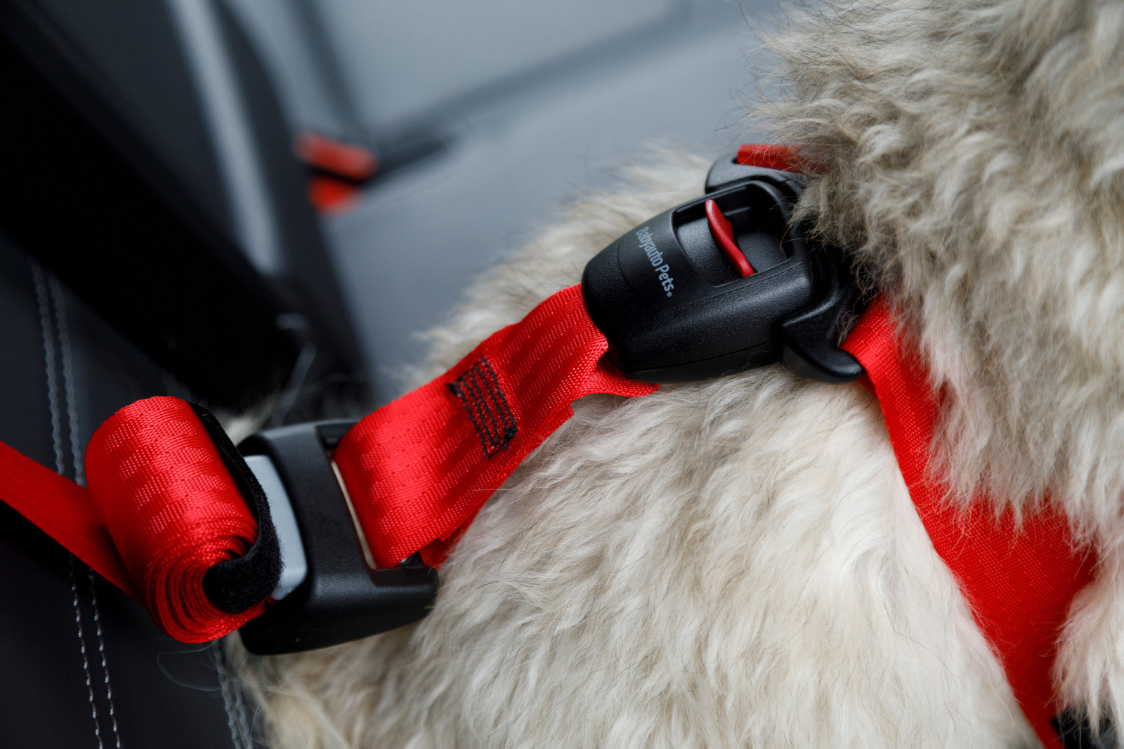 HARNAIS DE SÉCURITÉ AUTO TRAVEL SAFE - TAILLE M