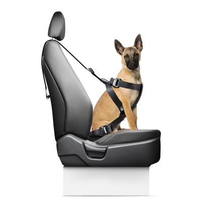 HARNAIS DE SÉCURITÉ AUTO TRAVEL SAFE - TAILLE M