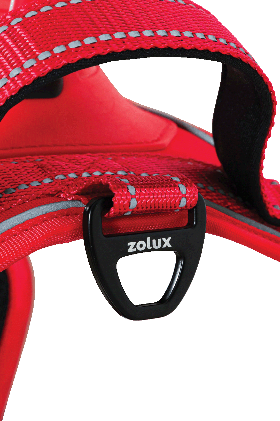 Harnais avec laisse rétractable pour chien Easy Ride XL