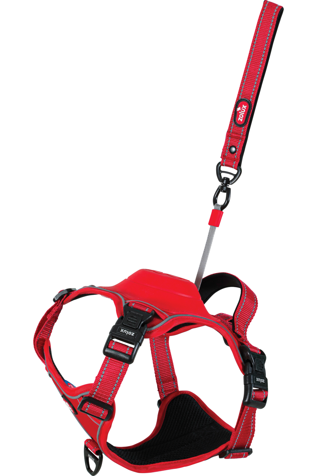 Harnais avec laisse rétractable pour chien Easy Ride XL