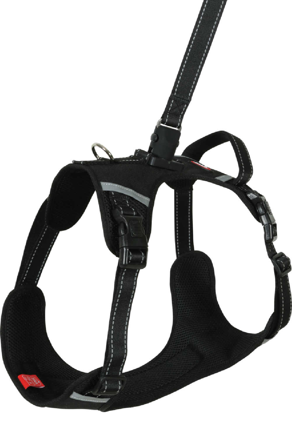 Harnais pour chien et laisse Clip &amp; Go à attache rapide XL