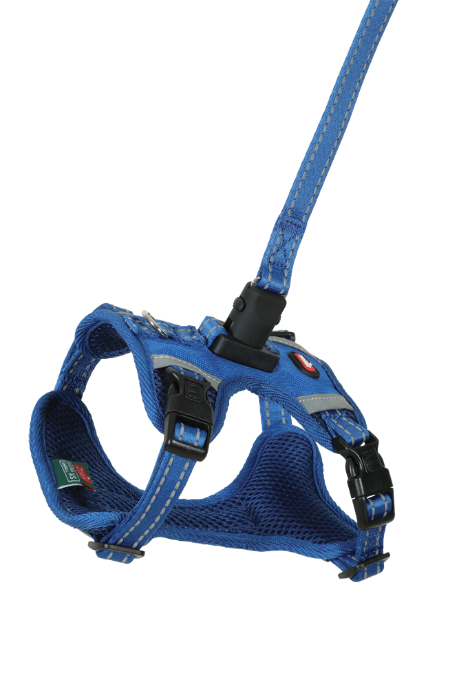 Harnais pour chien et laisse Clip &amp; Go à attache rapide Small