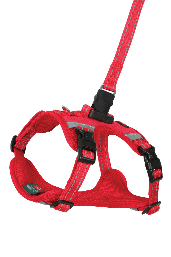 Harnais pour chien et laisse Clip &amp; Go à attache rapide XS