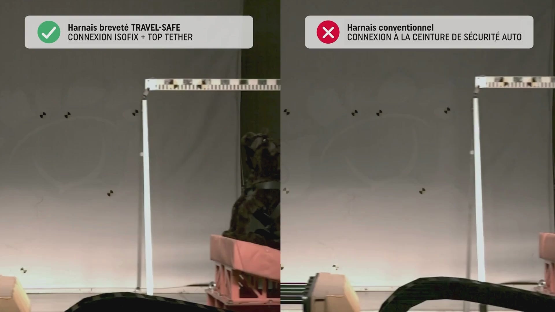 HARNAIS DE SÉCURITÉ AUTO TRAVEL SAFE - TAILLE M