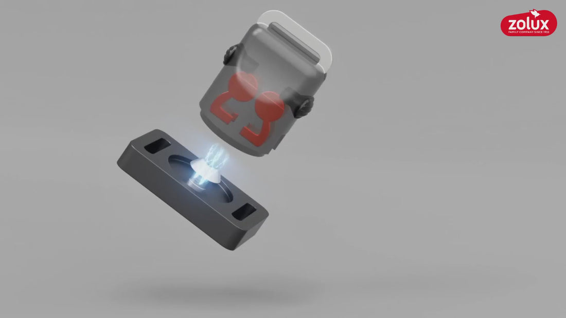 Harnais pour chien et laisse Clip &amp; Go à attache rapide XL